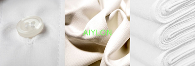 AIYLON COMPANY LIMITED Company Profile
